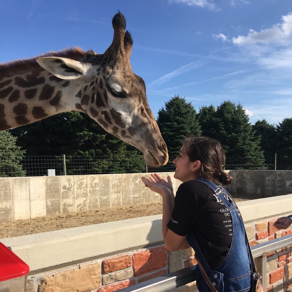 Meet your Posher, Rusty! - Picture 2 of 7